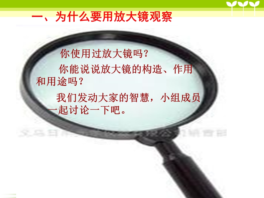 《放大镜》六年科学下册第一单元.ppt_第2页