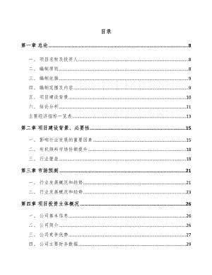 安徽颜料项目可行性研究报告.docx