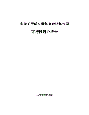 安徽关于成立碳基复合材料公司可行性研究报告.docx