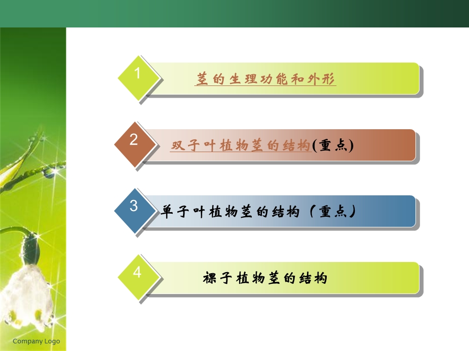 《植物的茎》课件.ppt_第2页