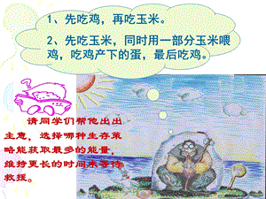 《生态系统的能量流动》(新人教版必修3).ppt