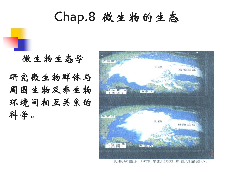 《微生物生态》课件.ppt_第1页