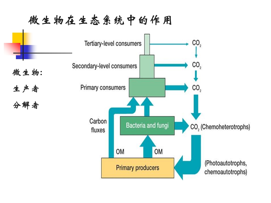 《微生物生态》课件.ppt_第2页