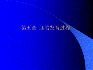 《胚胎发育过程》课件.ppt