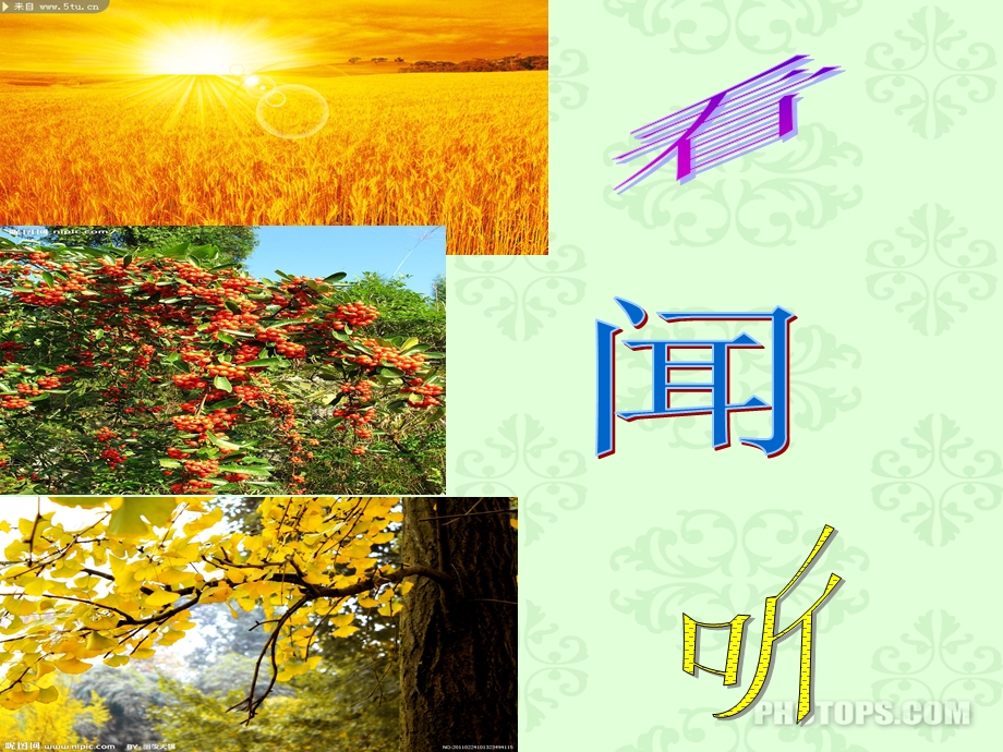 《秋天的雨》(公开课)ppt.ppt_第1页