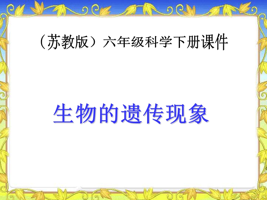 《生物的遗传现象》新PPT课件.ppt_第1页