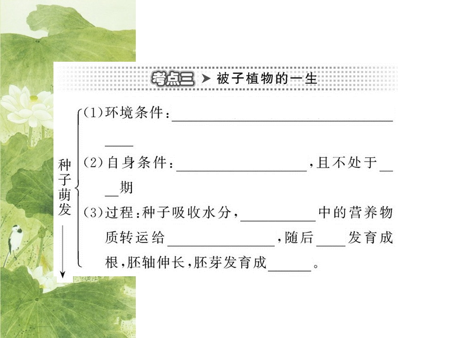 《被子植物的一生》复习课课件PPT.ppt_第3页