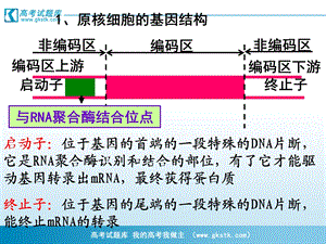 《基因工程的基本操作程序》课件10(新人教版必修3).ppt