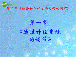 《通过神经系统的调节》课件(新人教版-必修3).ppt