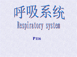 《系统解剖学》呼吸泌尿生殖系统.ppt