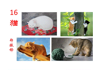 《猫》用ppt课件.ppt