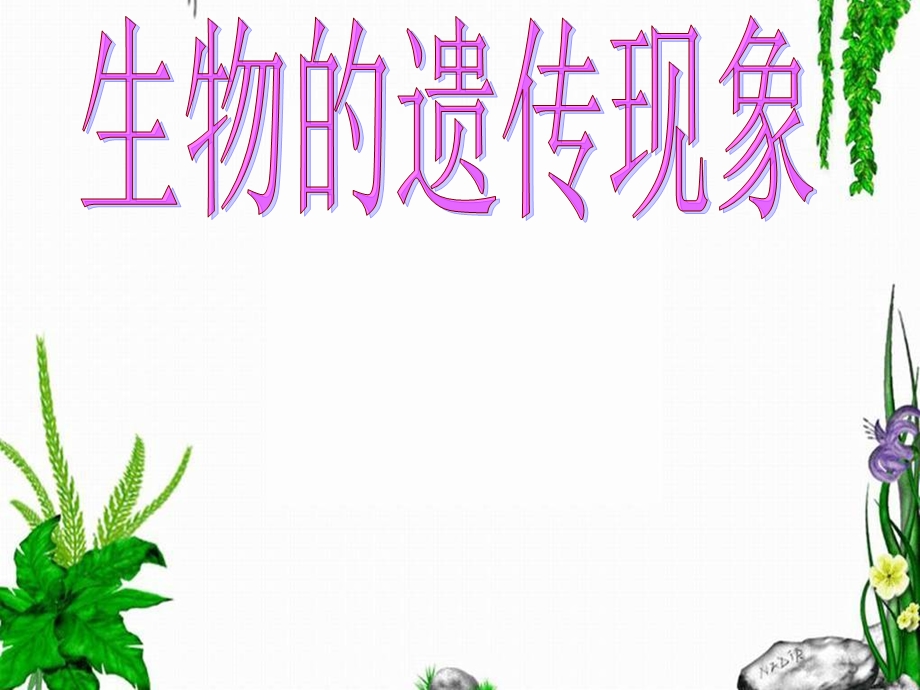 《生物的遗传现象》.ppt_第1页