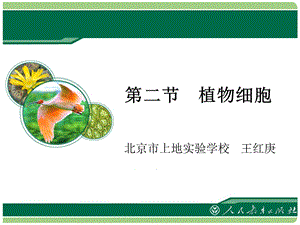 《植物细胞》教学课件.ppt