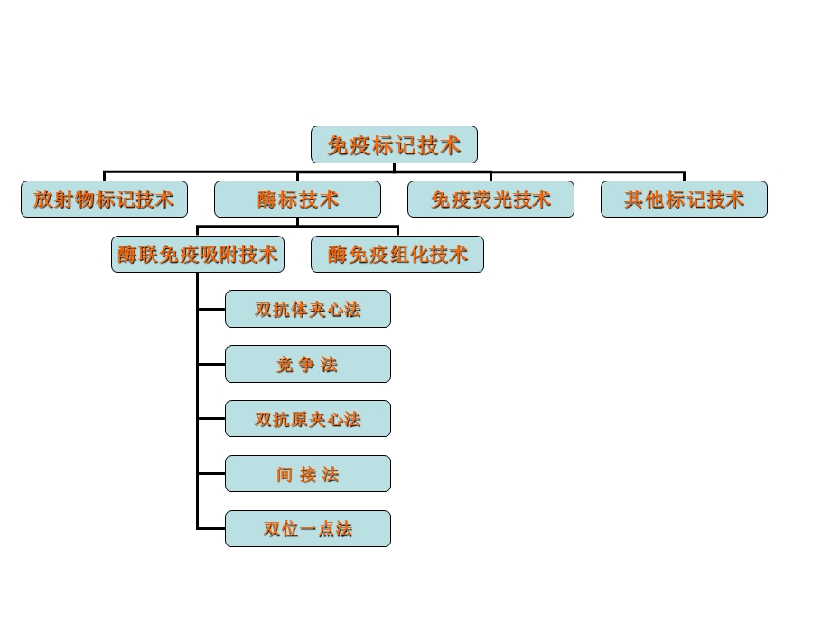 《疫标记技术》课件.ppt_第3页