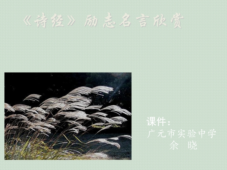 《诗经》励志名言欣赏.ppt_第1页