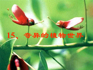 《奇异的植物世界》教程.ppt