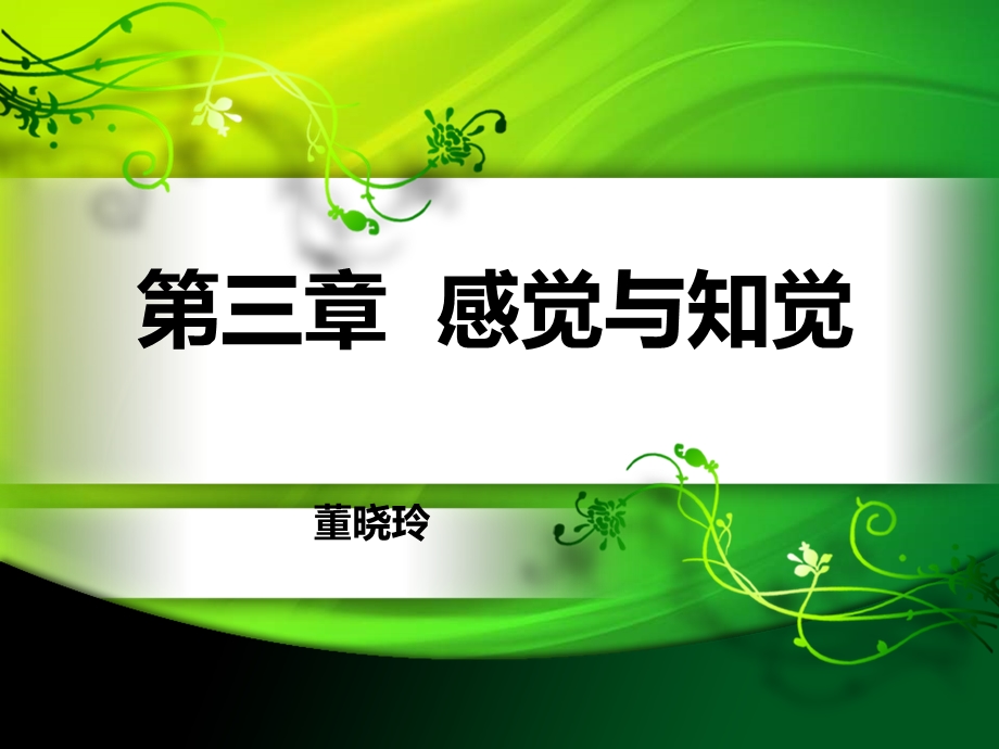 《感觉与知觉》课件.ppt_第1页