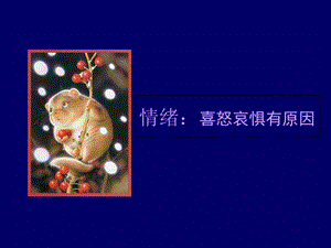 《情绪与健康》课件.ppt