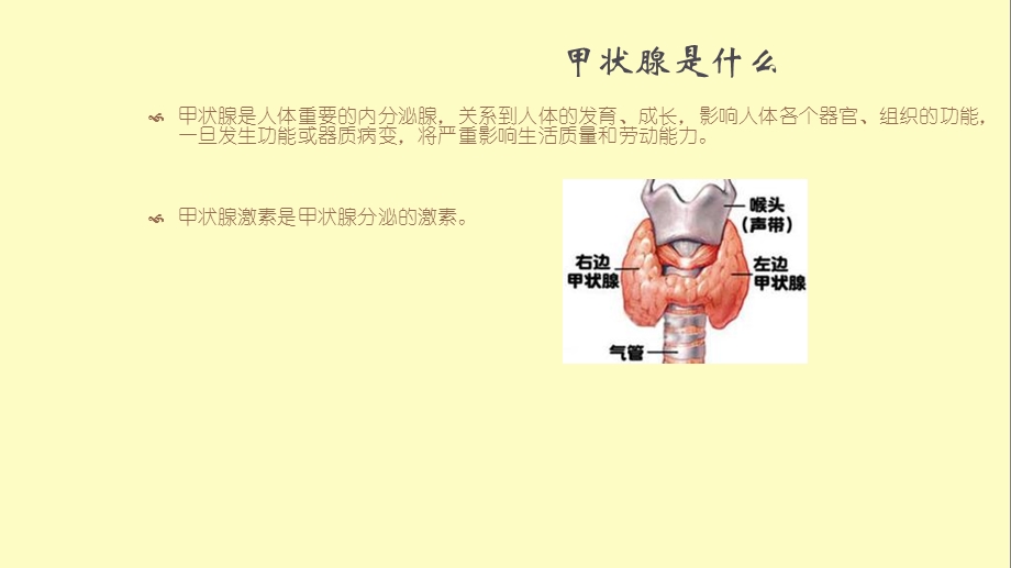 不可忽视的甲状腺.ppt_第3页