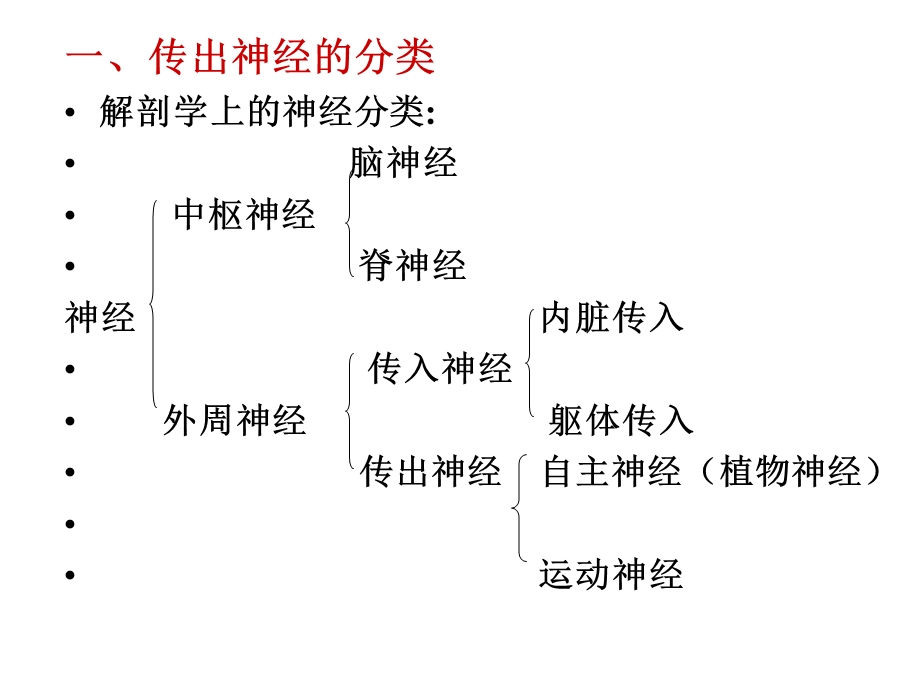 《外周神经》课件.ppt_第2页