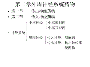 《外周神经》课件.ppt