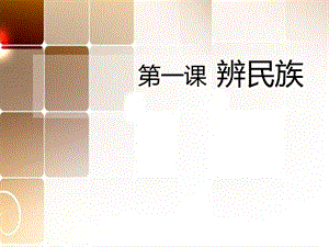 二年级人文与社会第一课-辨民族.ppt