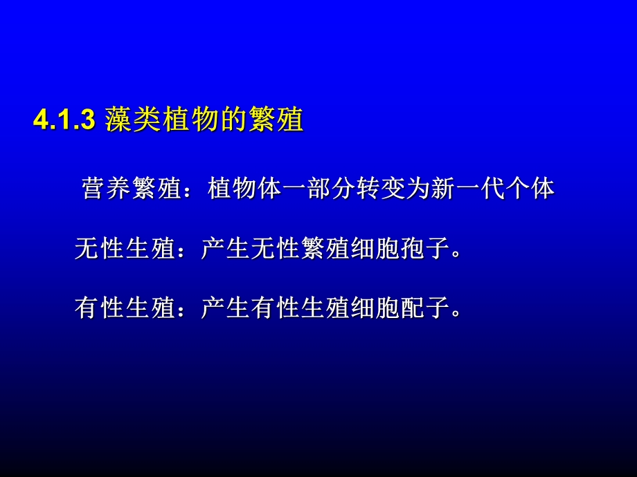 《真核藻类》课件.ppt_第3页