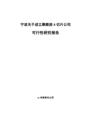 宁波关于成立聚酰胺6切片公司可行性研究报告.docx