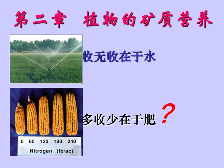 《植物生理》课件.ppt_第1页