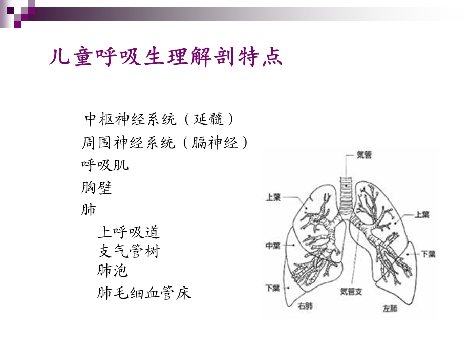 儿童急性呼吸衰竭.ppt_第3页