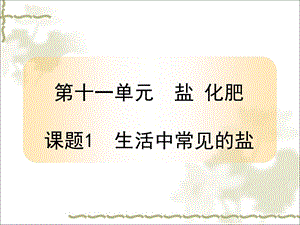 《生活中常见的盐》参考课件.ppt