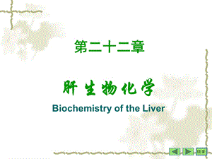 二十二章肝生物化学.ppt