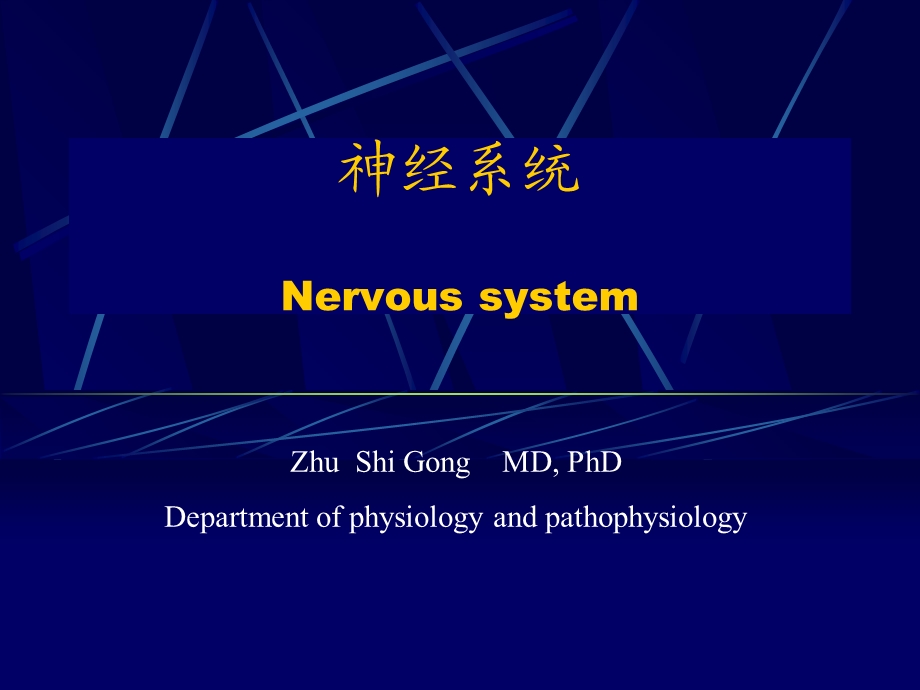 《神经系统英》课件.ppt_第1页