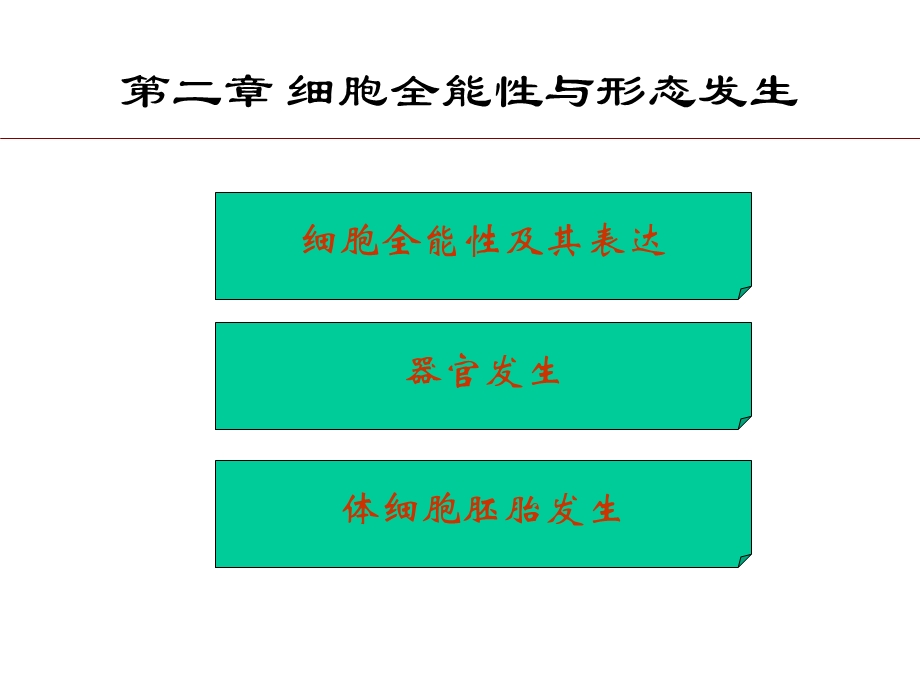 《细胞全能性》课件.ppt_第2页