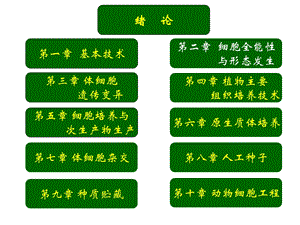 《细胞全能性》课件.ppt