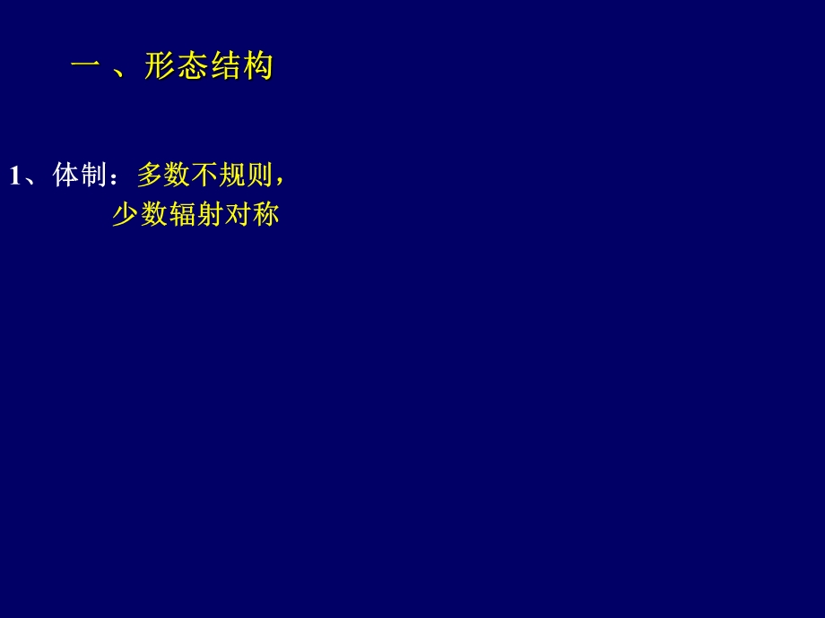 《海绵动物门》课件.ppt_第2页