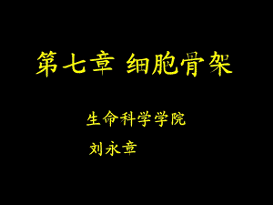 《细胞骨架》课件.ppt