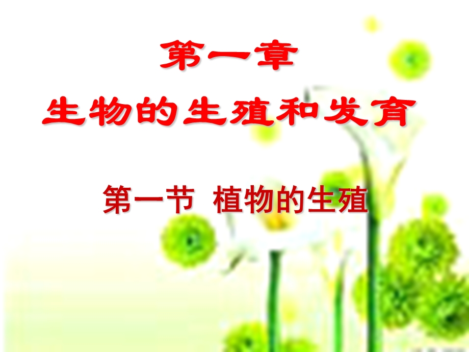 《植物的生殖》课件.ppt_第2页