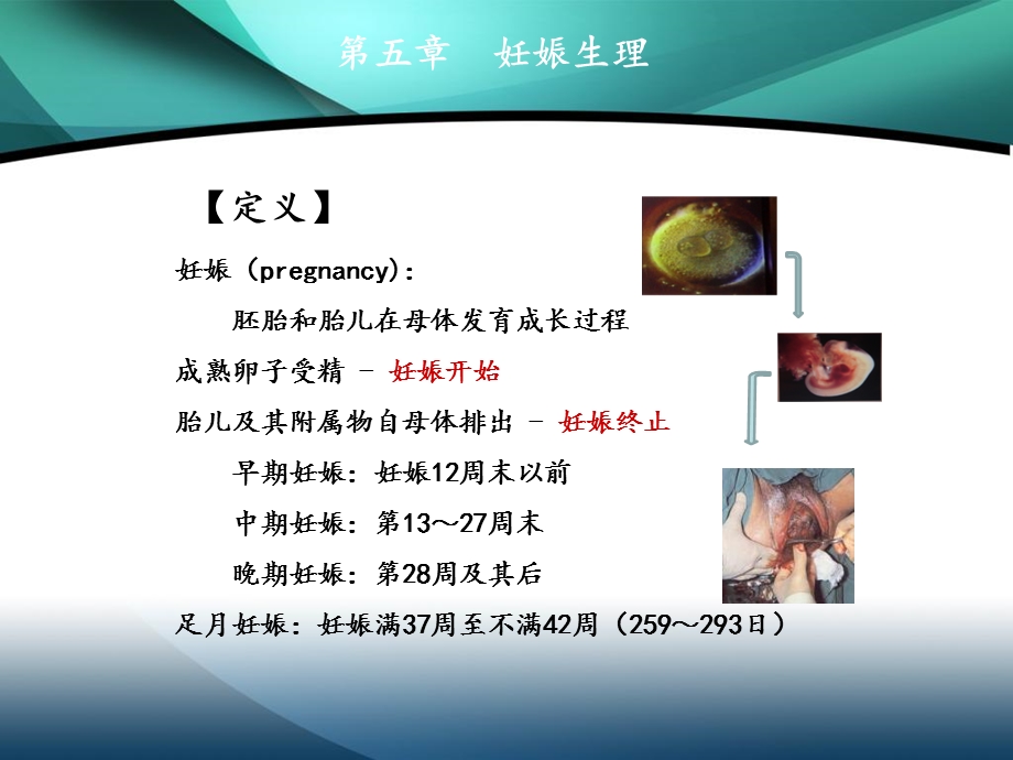 《妊娠生理》课件.ppt_第2页