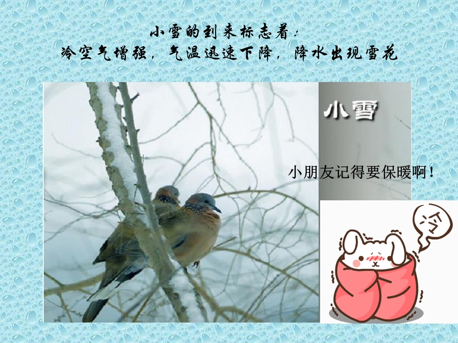 二十四节气之“小雪”.ppt_第3页