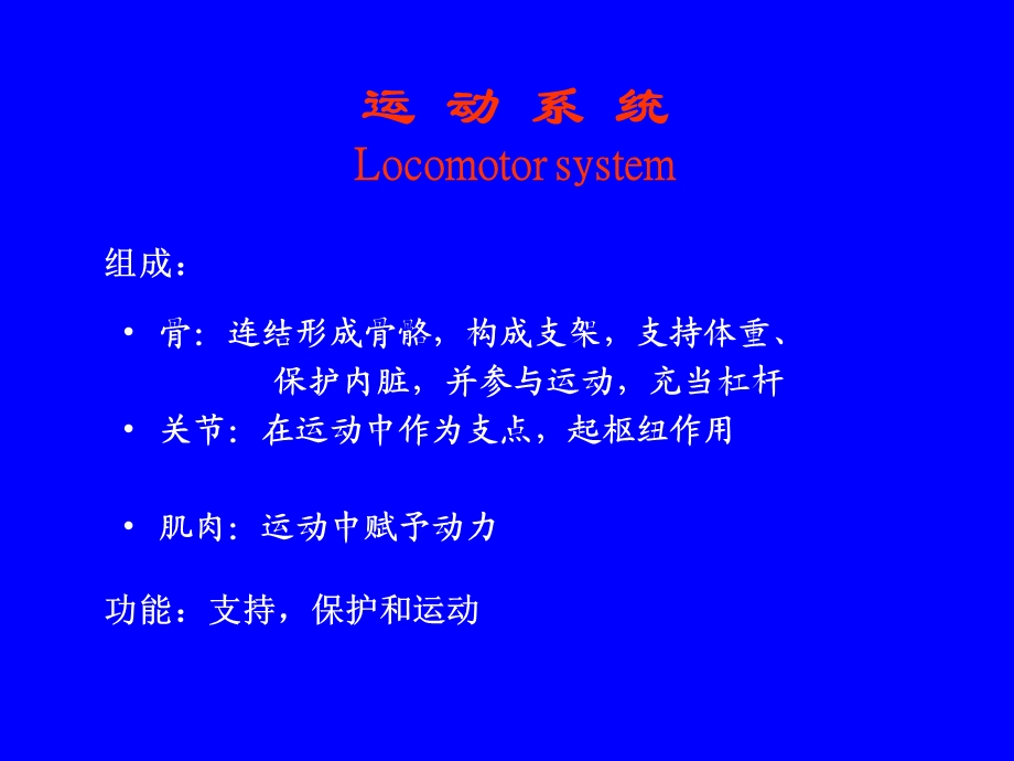 《骨总论》ppt课件.ppt_第3页