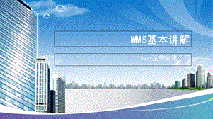 仓储管理系统(WMS)-医药流通.ppt