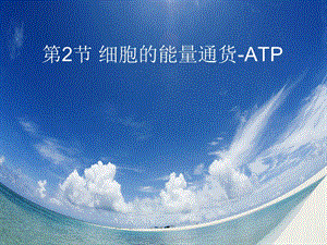 《细胞的能量“通货”-ATP》.ppt