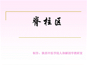 《脊柱区解剖》课件.ppt