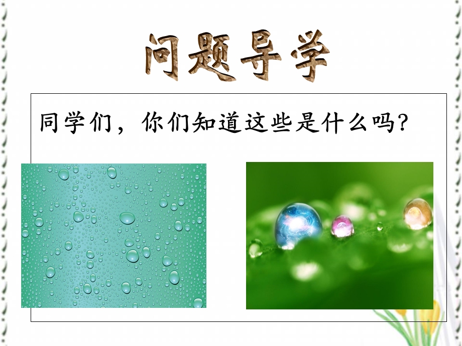 《种水珠》课件一年级语文.ppt_第3页