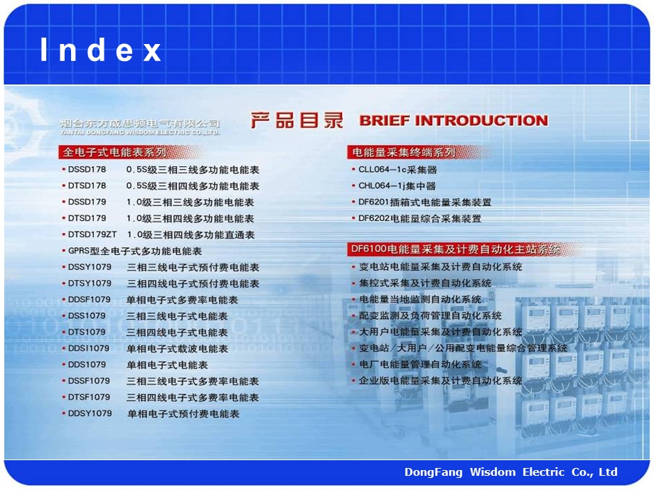 东方威思顿产品介绍V.ppt_第3页