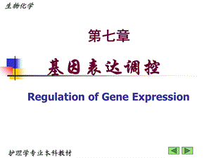 《基因表达调控》课件.ppt