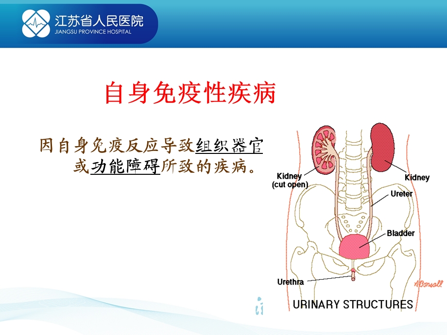 《自身免疫性疾病》课件.ppt_第3页