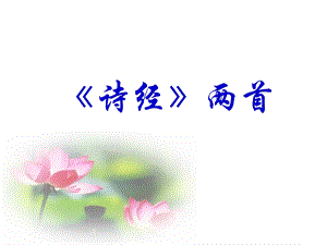 《诗经》两首《关雎》《蒹葭》课件.ppt