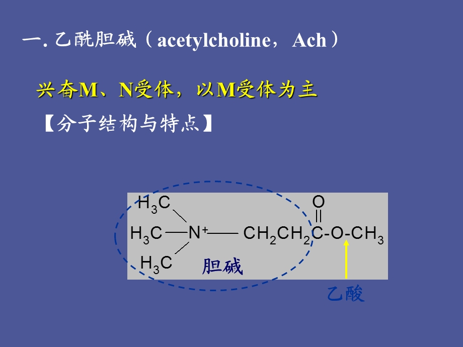 传出神经-胆碱受体药.ppt_第3页